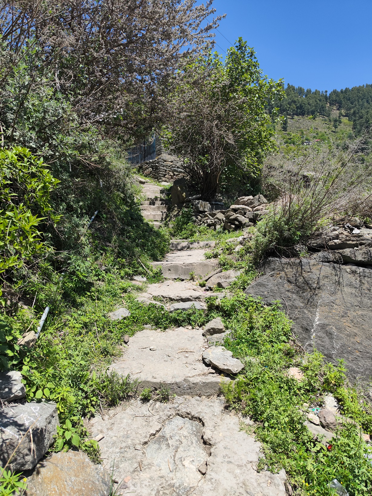 Enchanting Valley Views - Hike Steps