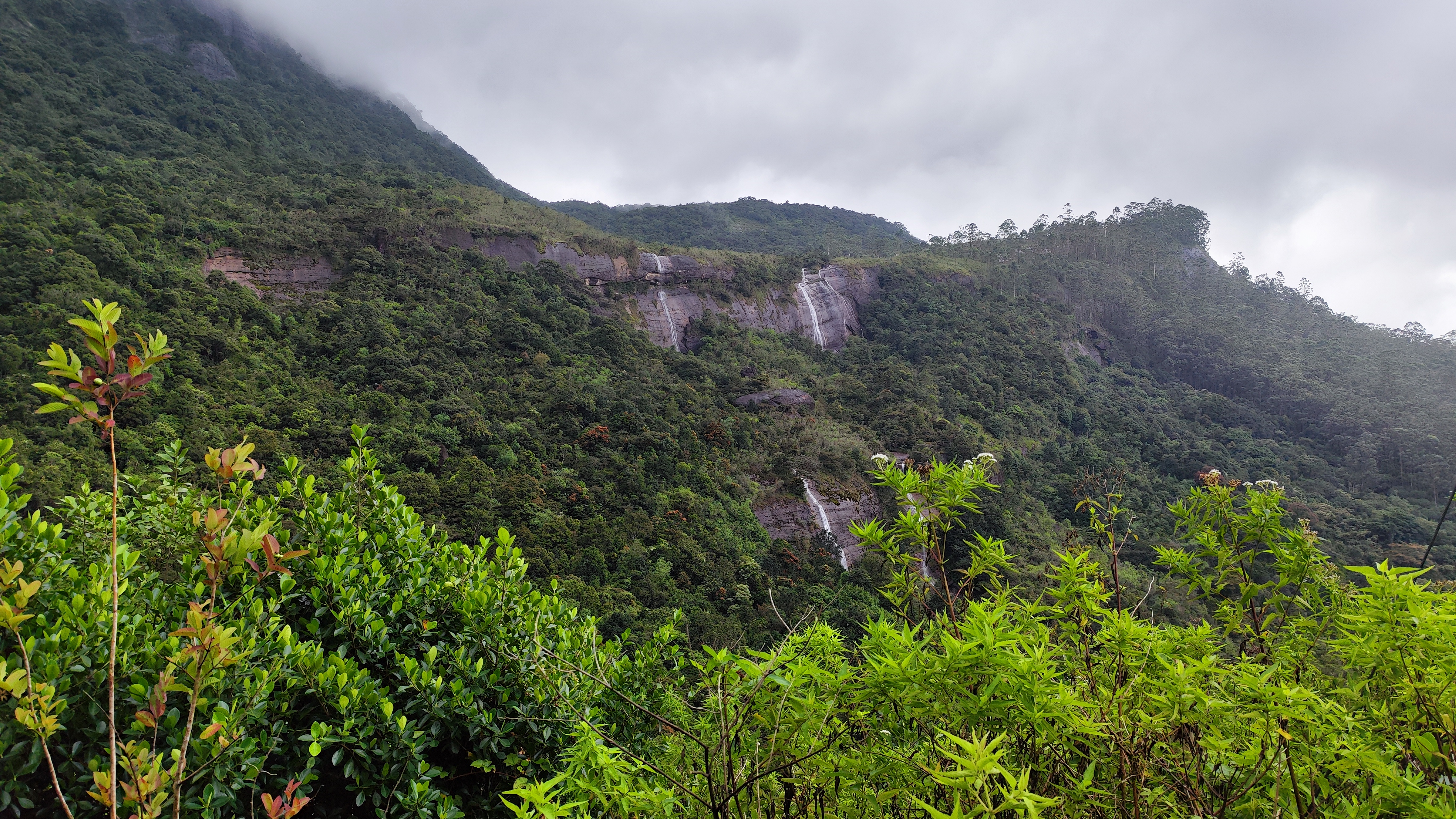 White House Adam's Peak