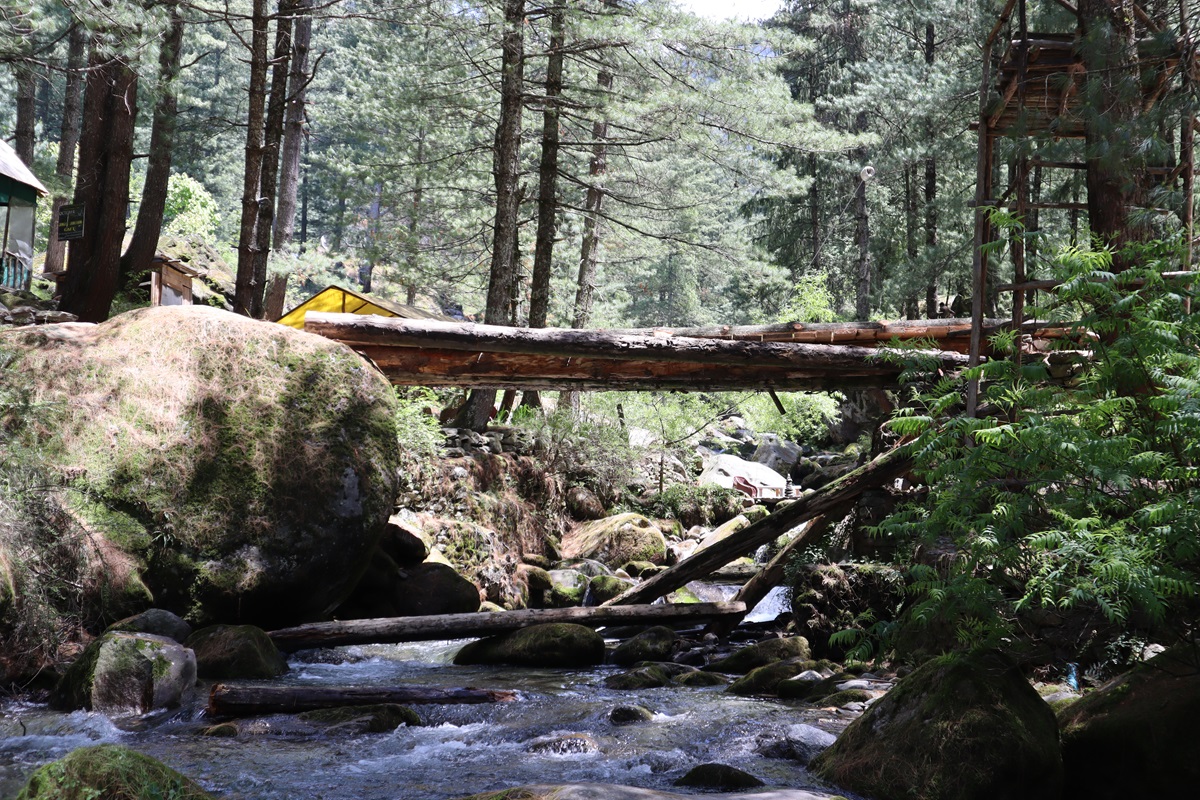 What to expect along the way - Wooden Bridge